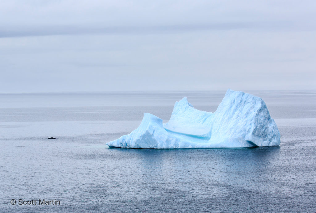 Newfoundland_0037_web